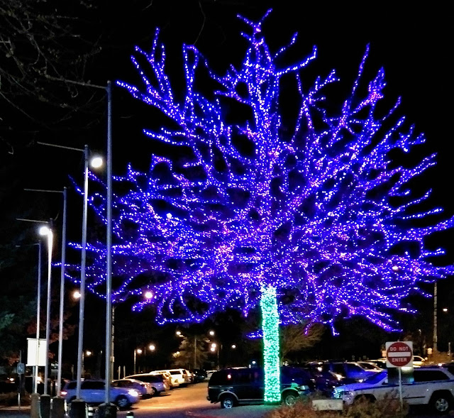 zoolights at the oregon zoo