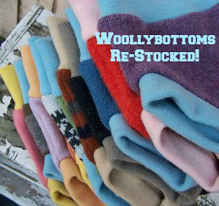 woollybottoms hybrid soakers