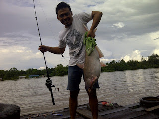  Umpan Mancing Ikan Patin Essen Oplosan Galatama atau Lomba Para Juara