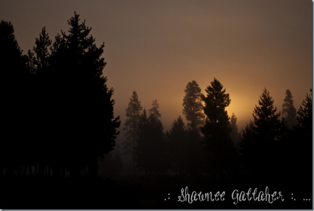 Sunrise AND Fog