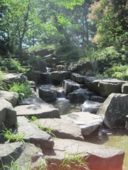 Bild 015 (Kopie)