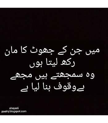 quotes in urdu