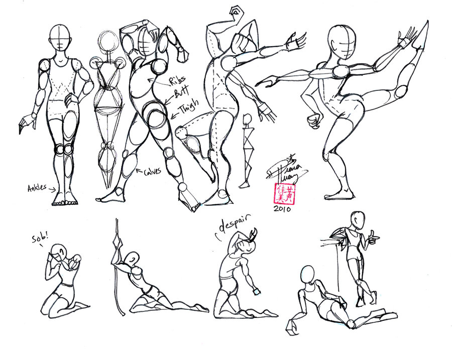 Desenhe Tudo: Corpo Humano