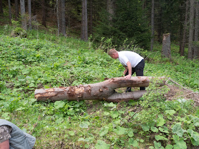 grzyby 2018, grzyby w maju, grzyby na Orawie, smardze, jak szukać smardzów