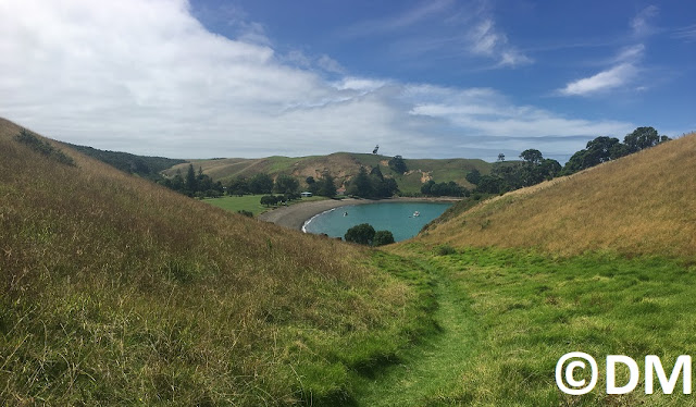 Photo de Home Bay sur les chemins de Motutapu Auckland Nouvelle-Zélande 