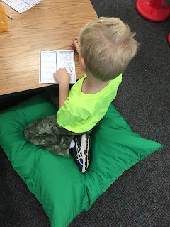 Looking for an idea for flexible seating in your classroom?  Are you tired of the plain boring metal chairs and switching to alternative seating?  Check out how these floor pillows for kids!  Great for a kindergarten classroom!  See why pillows are a better seating alternative for students!