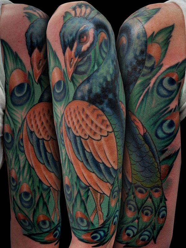 Amy's Stunning Peacock Tattoo