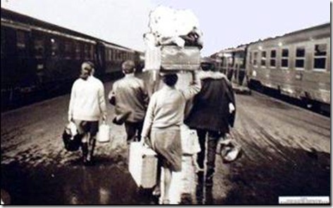 migrantes