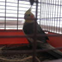 View album