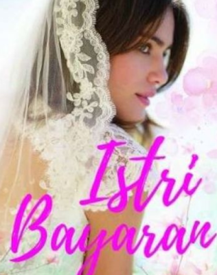 Novel Istri Bayaran Karya Rustina Zahra PDF