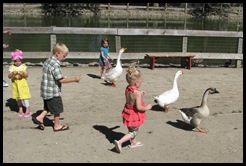 IMG_0106 (2)
