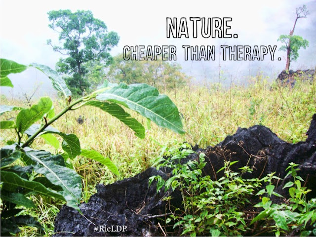 Nature. Cheaper than Therapy