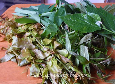 * daun kayu/daun2 kg ni biasanya terdiri dari pucuk paku 