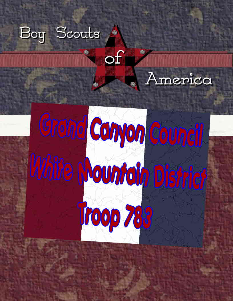 BSA Troop 783