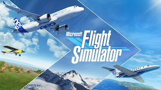 Microsoft Flight Simulator: Comparativo FSX-Brasil