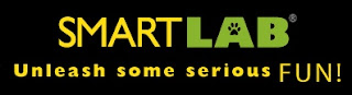 SmartLab Toys