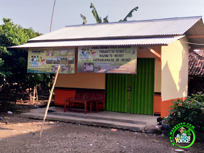 Warung Benih MANGYONOcom