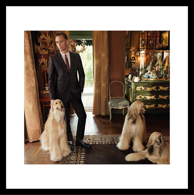 tom hiddleston, gucci, campaign, fashion, alessandro michele