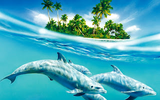 Dolphins Underwater Half View Tropic Island HD Wallpaper