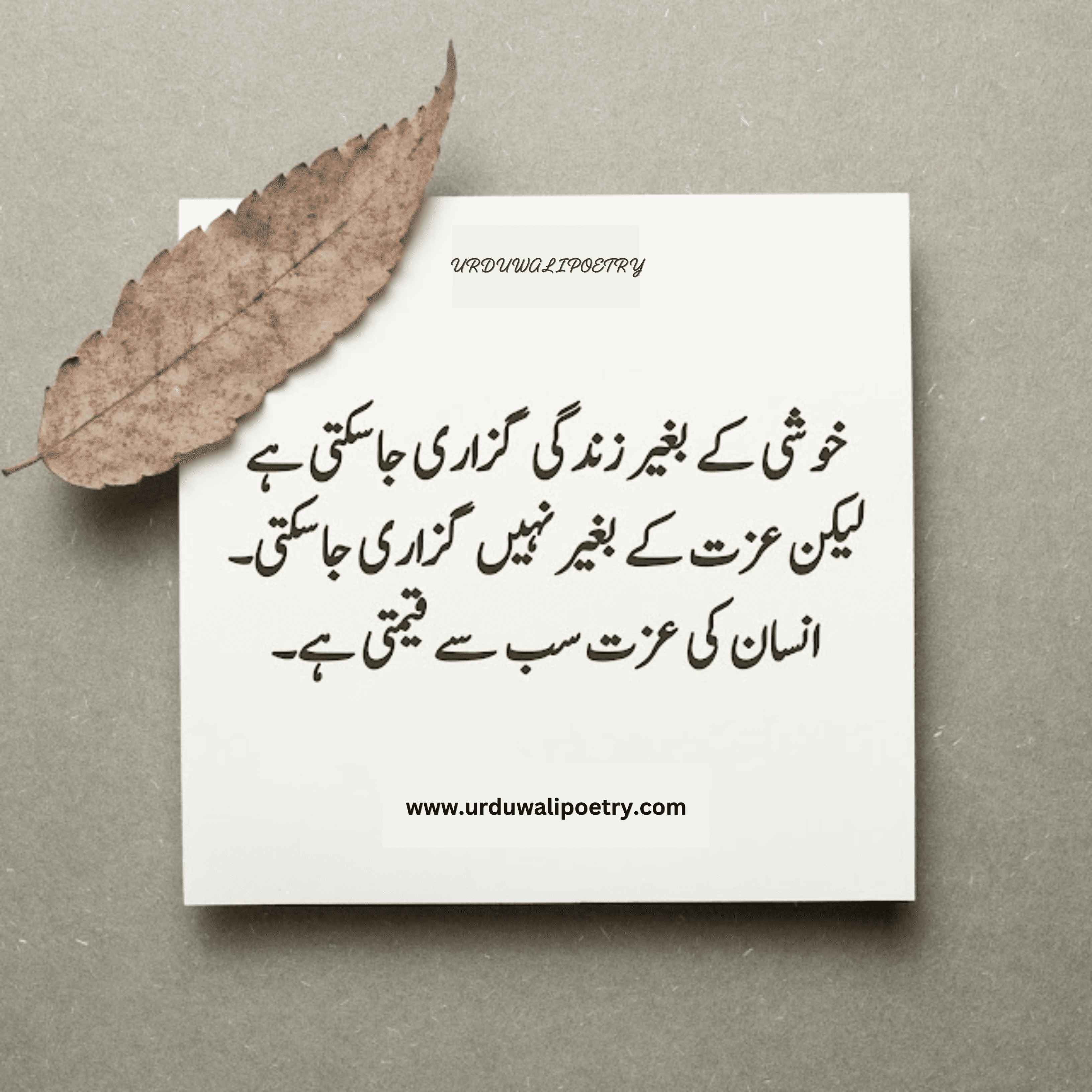 Motivational Quotes in Urdu About Life | Wisdom Quotes | Deep Quotes