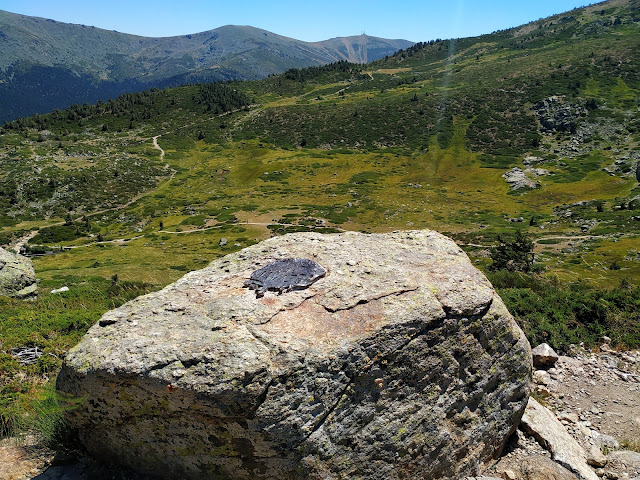 Subida al Peñalara . Techo de Madrid y Segovia. Parque Nacional de Guadarrama