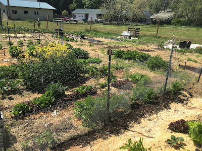 2021 Garden