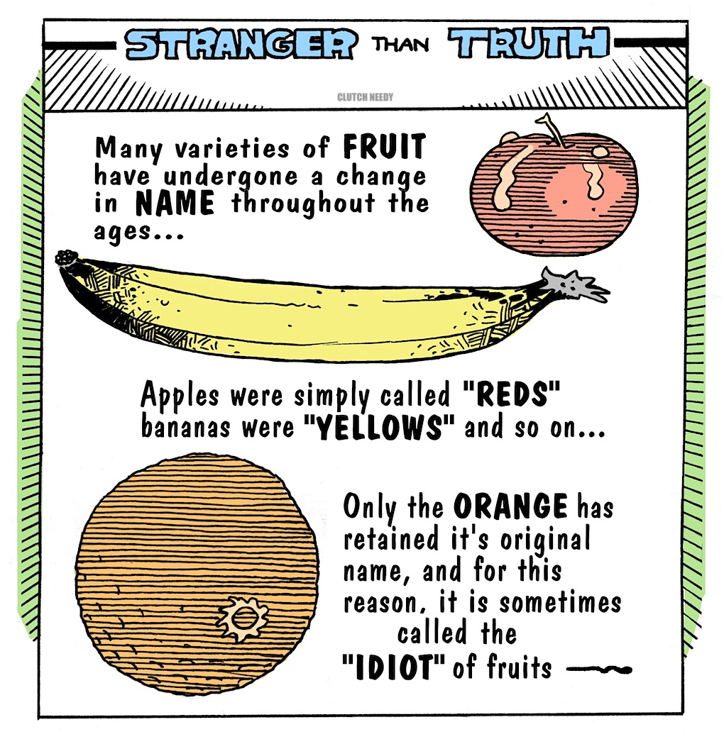 STRANGER THAN TRUTH  1 cartoon Clutch Needy, fruit history, believe it or not