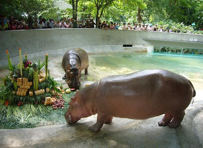 Lop Buri Sa Kaew Zoo