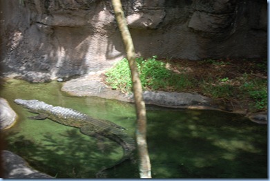Disney World 2010 178
