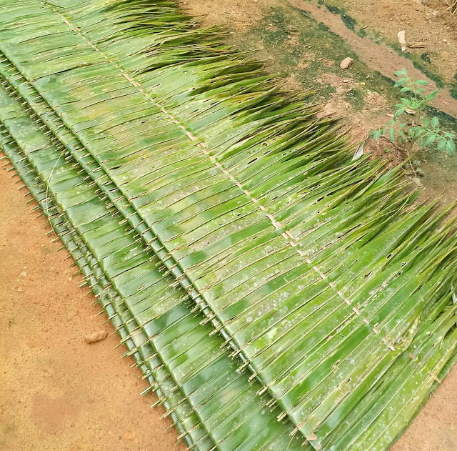 local roofing sheets made from palm tree leaves in cameroon