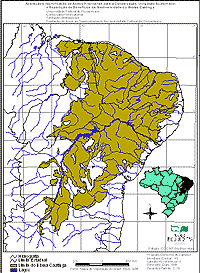 Bioma Caatinga