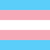 19 agosto 2019: la Trans Pirde Flag compie 20 anni! 