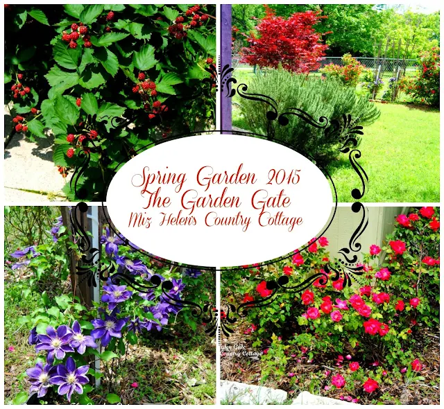 The Garden Gate, Spring 2015, at Miz Helen's Country Cottage