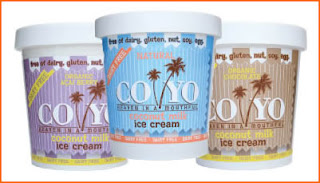 Co Yo Ice Cream trio