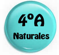 4º A Ciencias Naturales