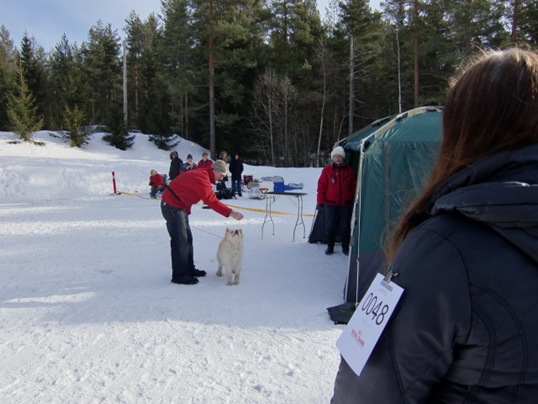 Kongsberg utst 2011025