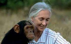 Jane Goodall