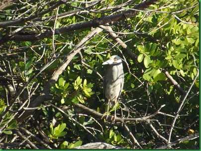 E.G. Simmona Ruskin, FL Site #65 060