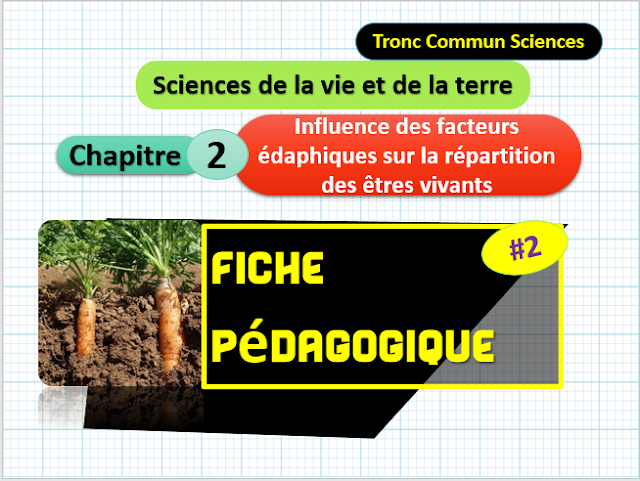 Télécharger | Fiches  Pédagogiques | Tronc commun  Sciences  >  Facteurs édaphiques  (TCS Biof)  SVT  #2