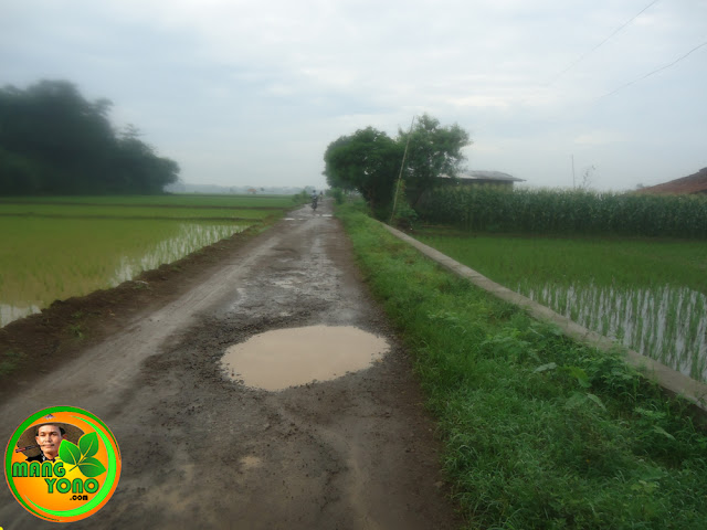 Jalan ini merupakan jalan alternatif menuju sekolah sikaka   