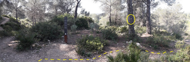 La Pobla de Montornès a Tarragona GR-92, pedrera de El Mèdol al terme municipal de Tarragona