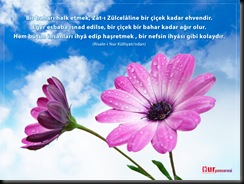 215_Buyuk