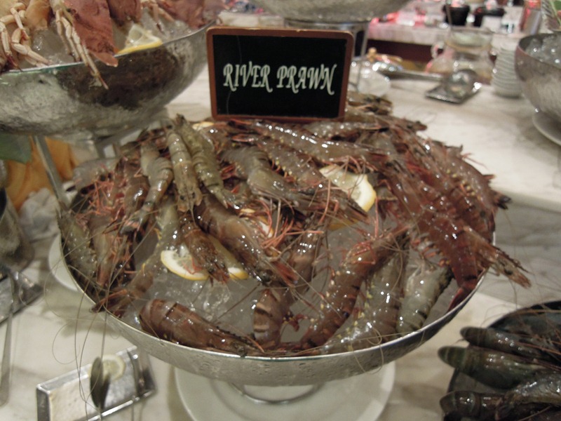 DSCN0849