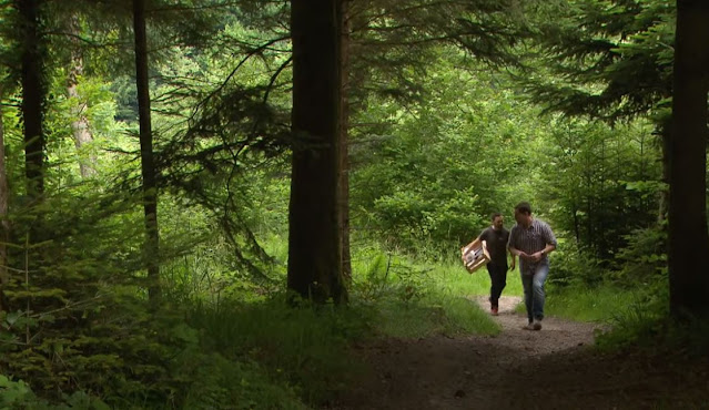 La forêt nourrit le corps et l'esprit (vidéo)