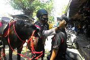 Polres Madiun Turunkan Polisi Berkuda Bagi-Bagi Masker