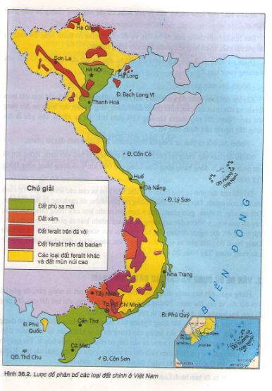 Đặc điểm đất Việt Nam