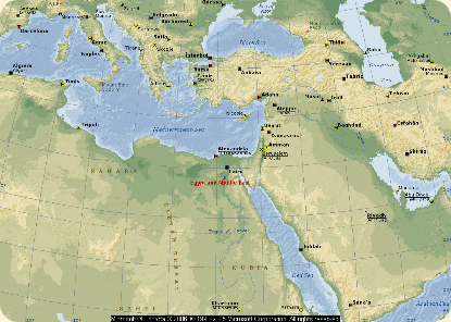 Egypt & Mideast