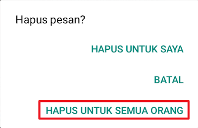 WhatsApp - Hapus pesan?