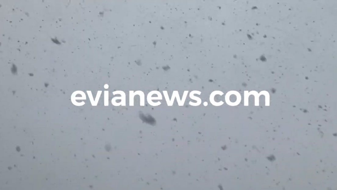 Πυκνό χιόνι στη Χαλκίδα: Το έστρωσε παντού