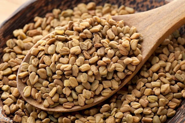 الحلبه Fenugreek